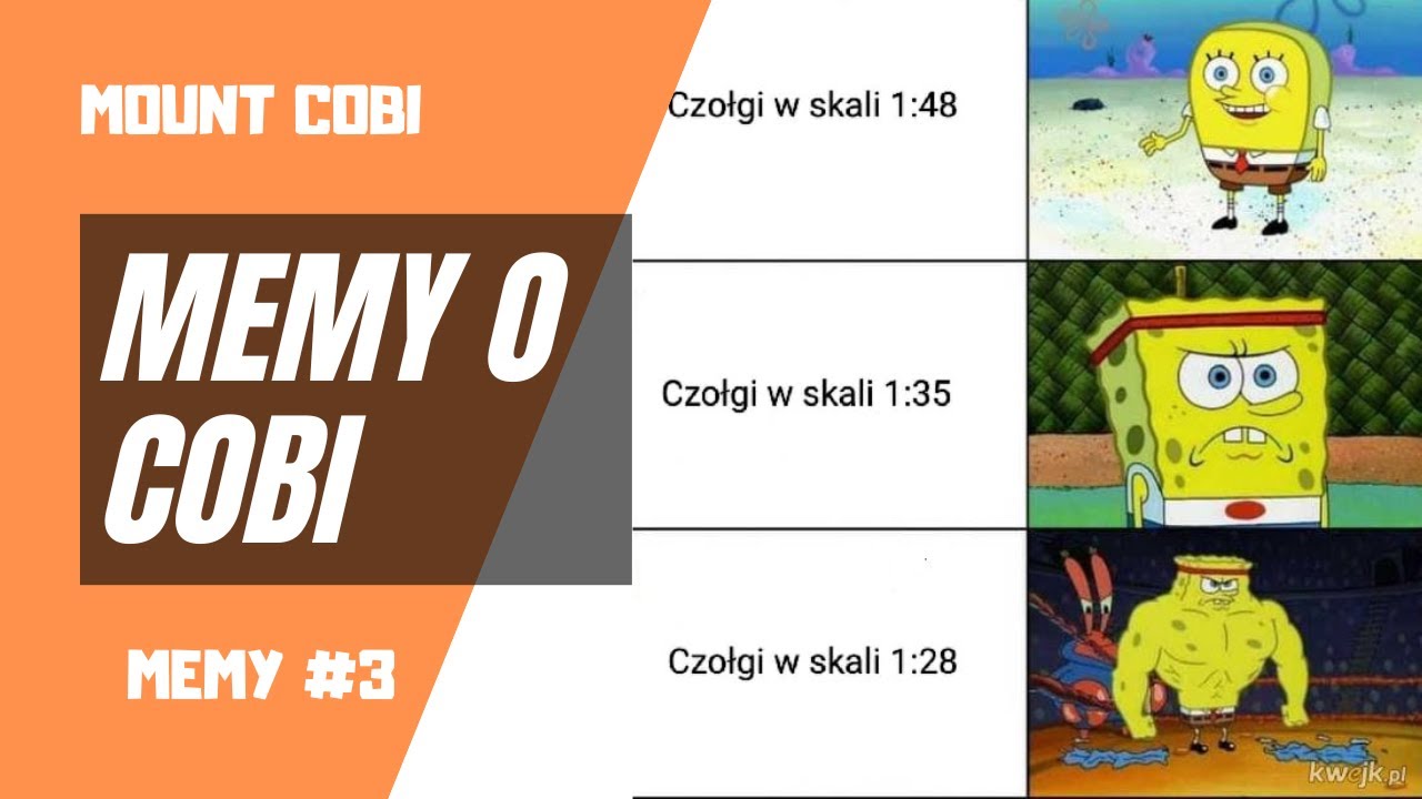 Memy o COBI