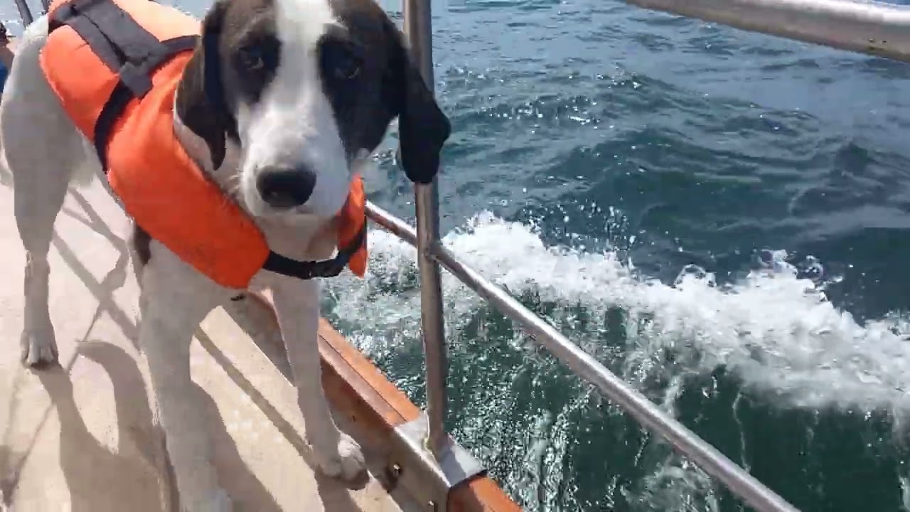 Örö & Bengtskär sailby