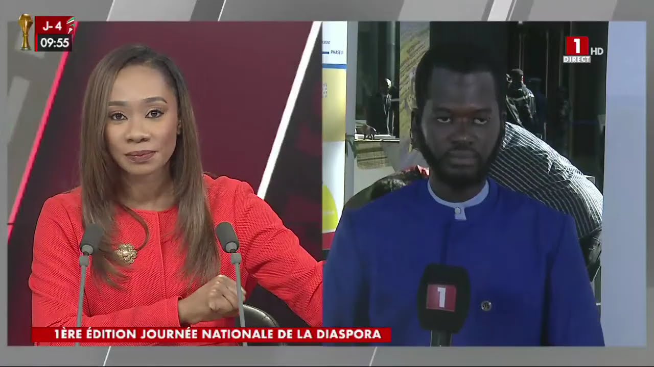 DIRECT - CICAD - JOURNEE DE LA DIASPORA - MERCREDI 17 DECEMBRE 2025