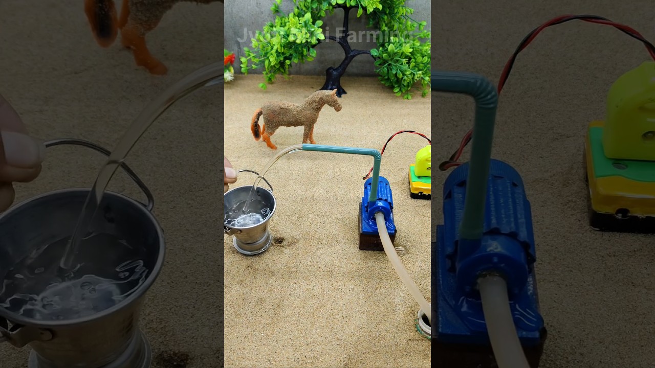 Horse water bathed video ! mini water pump science project mini tractor project # 810