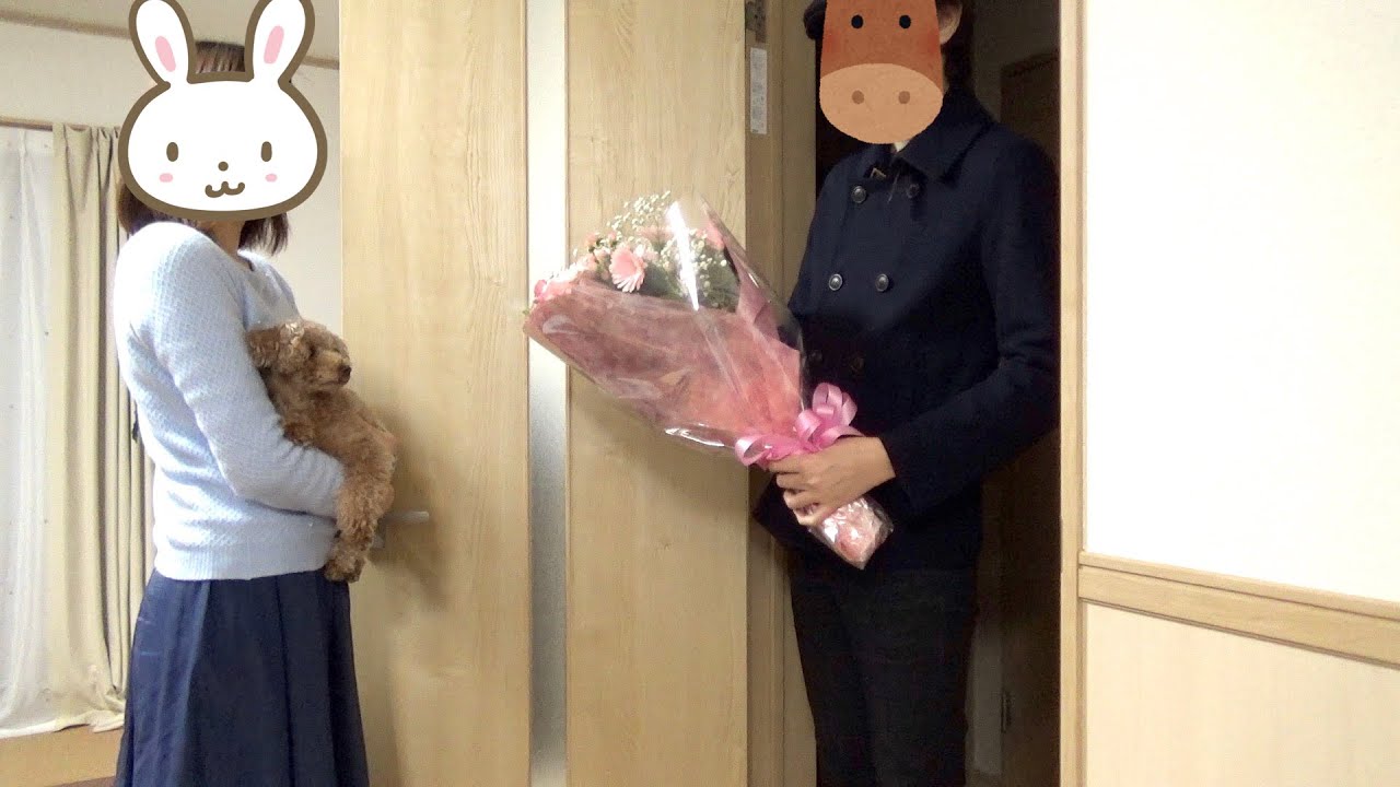【サプライズ】ママの誕生日をパパと犬がお祝いしてくれました。【トイプードル】