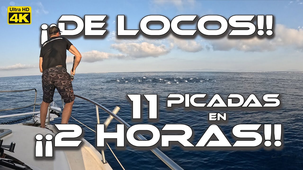 BACORETAS  a SPINNING - Que SE&Ntilde;UELO FUNCIONA MEJOR