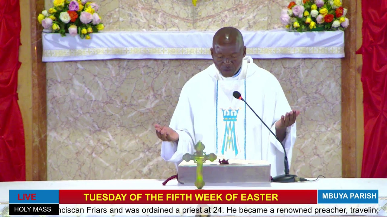 Catholic Mass Today || Daily Mass - Tuesday 20th May 2025 || Daily Mass Online