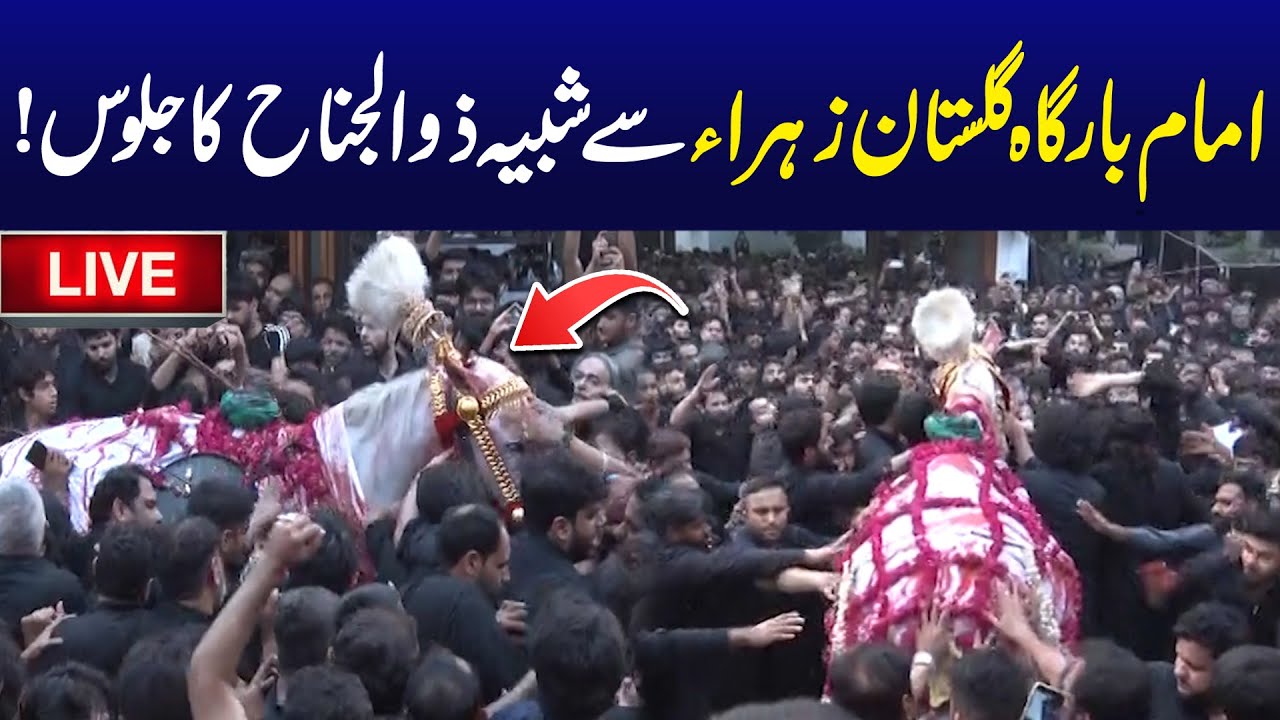 Shabih e Zuljinah Jaloos | Imam Bargah Gulistan E Zehra - 8th Muharram | City 42