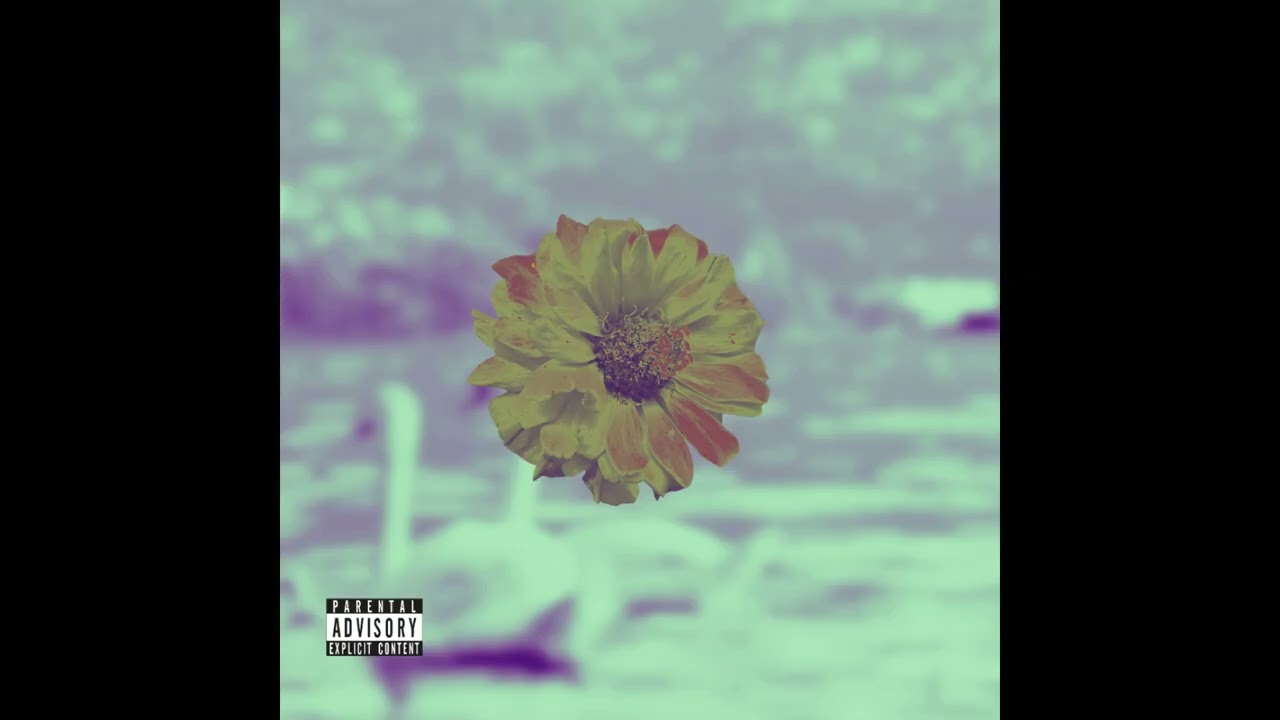swan's song (@prodbyxvn_)