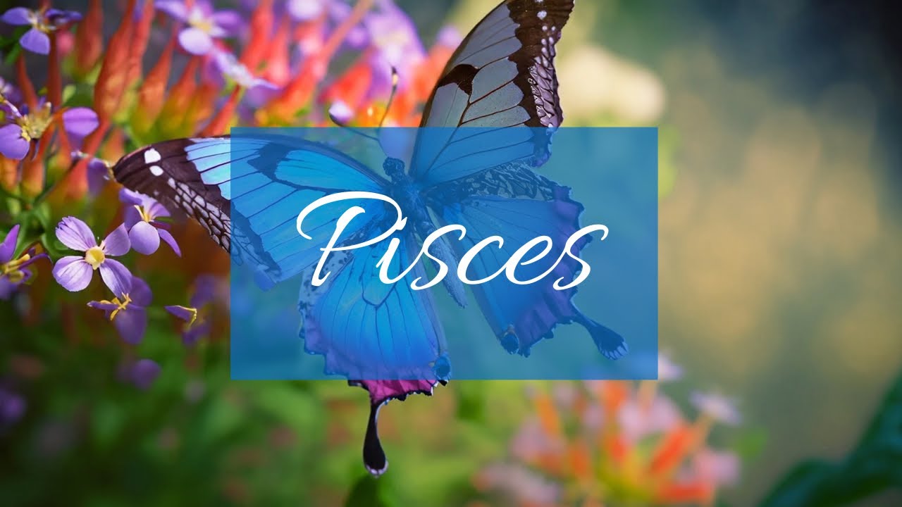Pisces❤️How r they feeling & seeing u right now: Their true intentions for wanting u back..