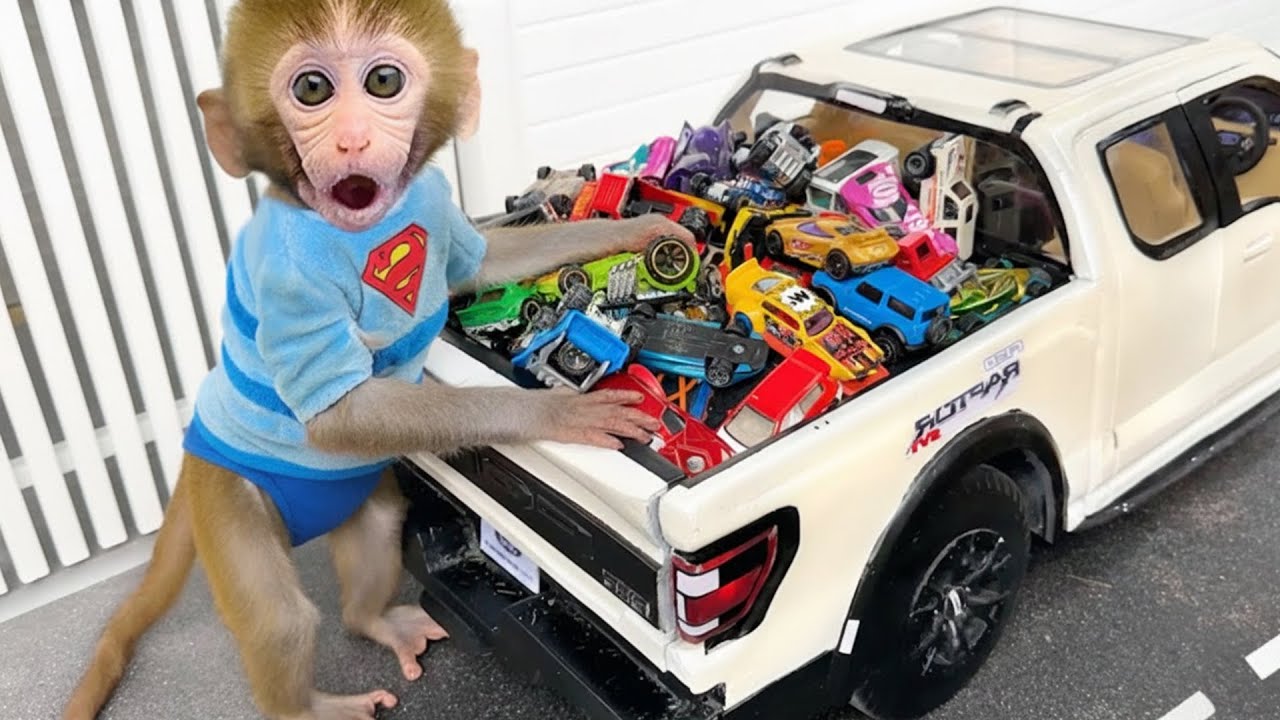 Monkey Bon Bon Plays with Car and Finds the Missing Duckling | Bon Bon Indonesian