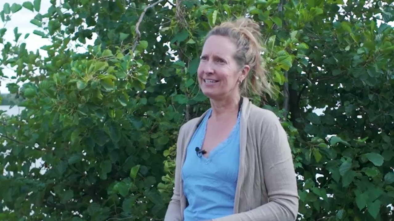 Salutogenese, de oorsprong van gezondheid met Birgit Spoorenberg