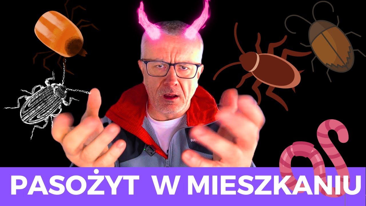 CZYLI CO ZROBIĆ JAK NAJEMCA NIE PŁACI I MIESZKA // PROCEDURA