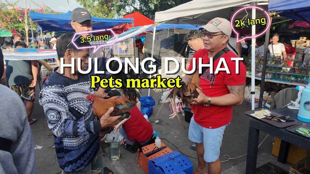 HULONG DUHAT PETS MARKET WALKING TOUR SCENES IN HULONG DUHAT MALABON MANILA PHILIPPINES 