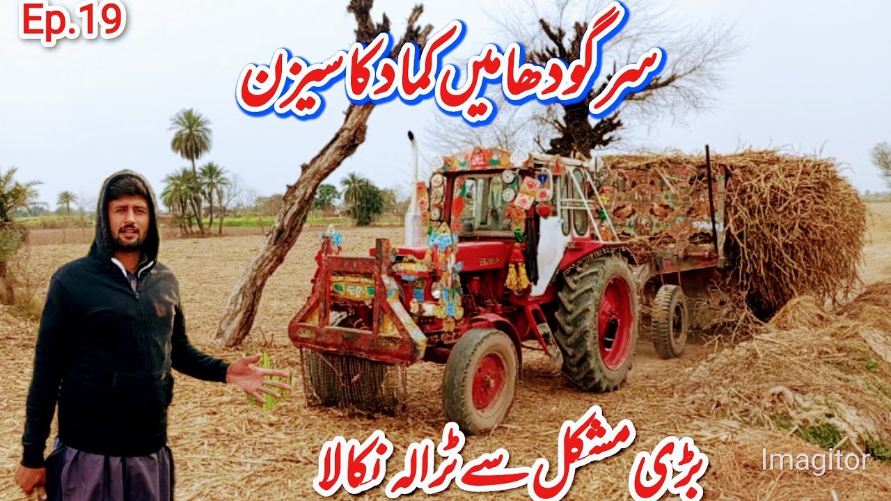 Suddenly tractor trala stuck in mud