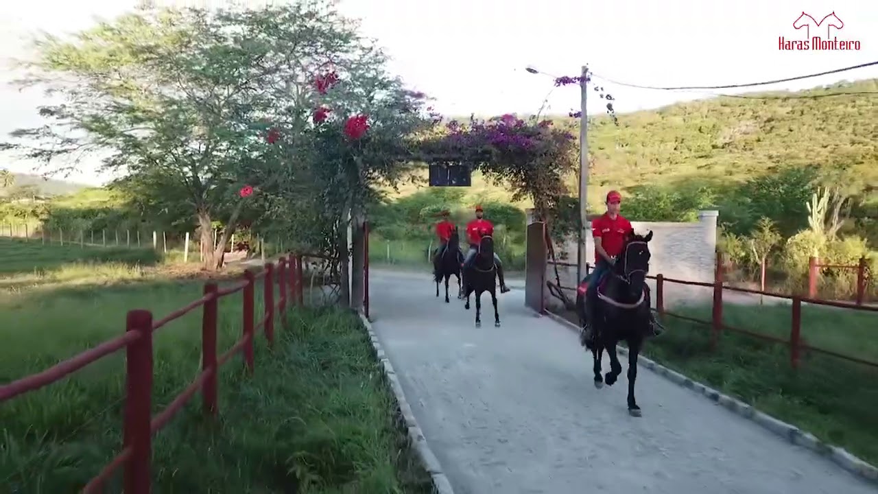 Haras Monteiro