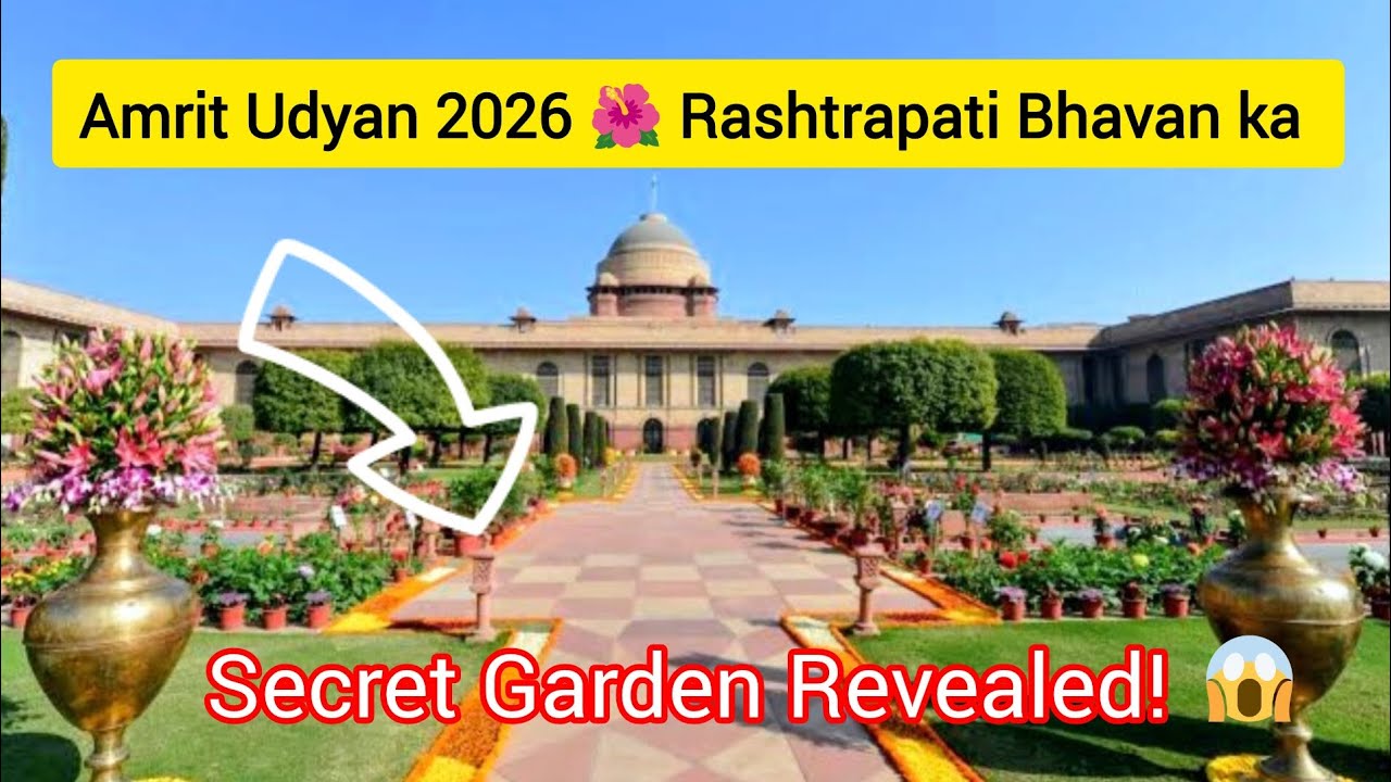 Amrit udhyan 2026 flower 🌺 🌹 #garden #flowers #amritudyan #travelindia #incredableindia 