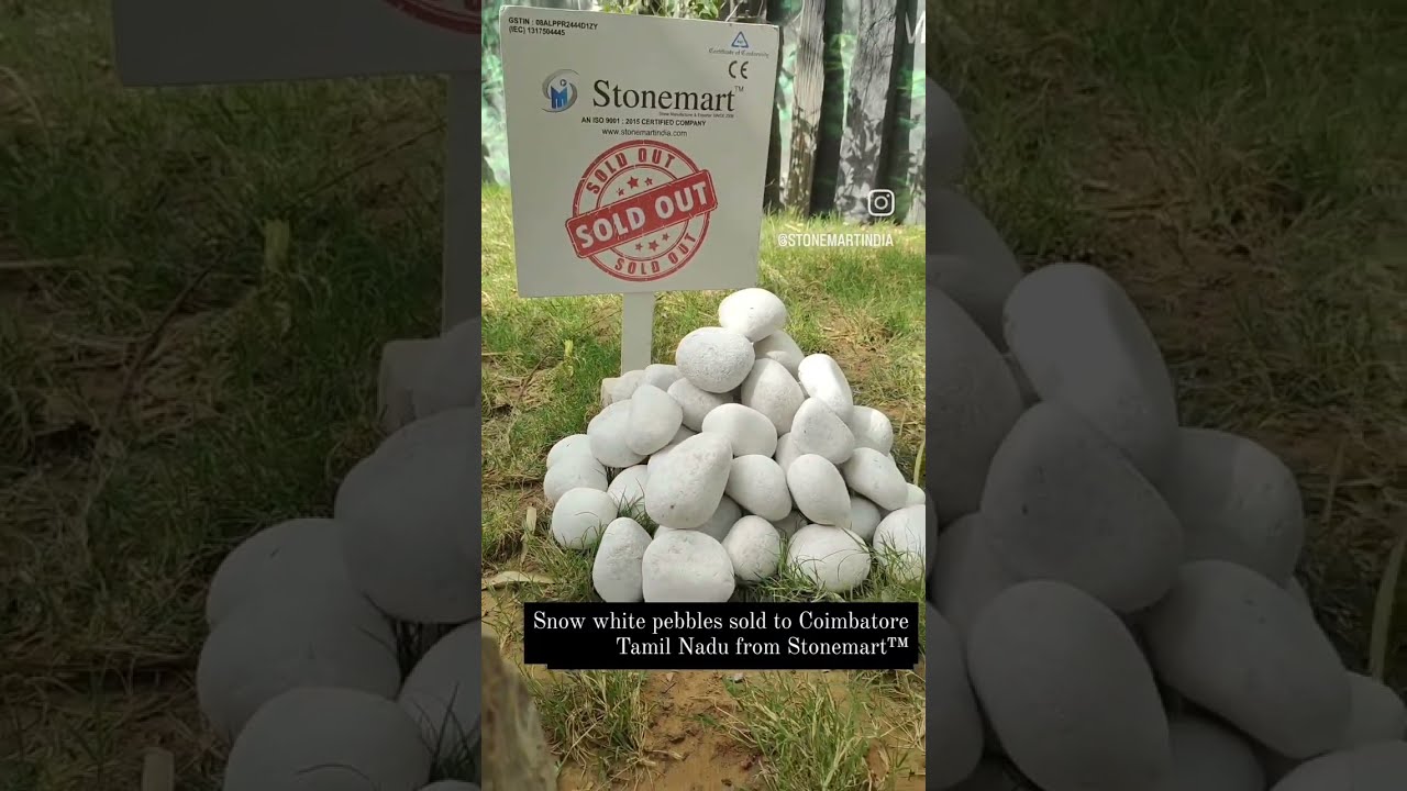 SNOW WHITE PEBBLES SOLD TO COIMBATORE, TAMIL NADU FROM STONEMART&trade; #shorts #youtubeshorts #ytshorts