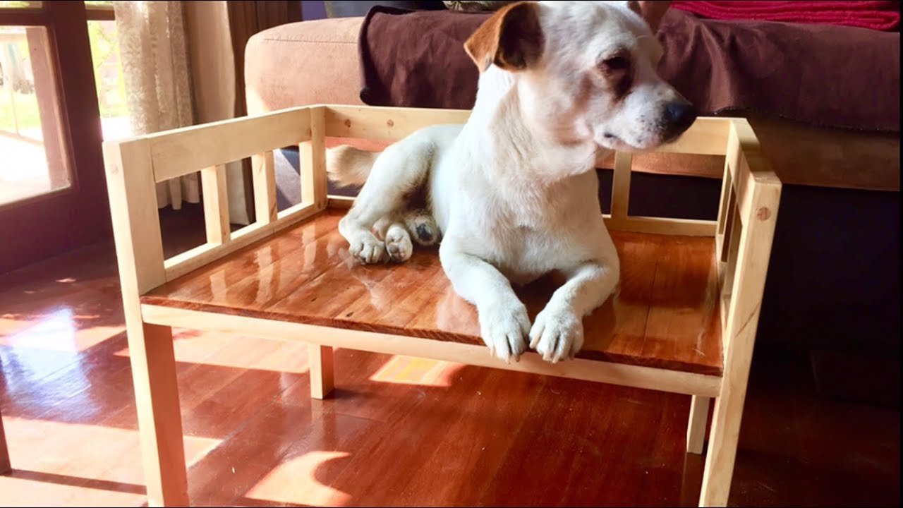 Hice una bella cama para mi perro! Con madera reciclada