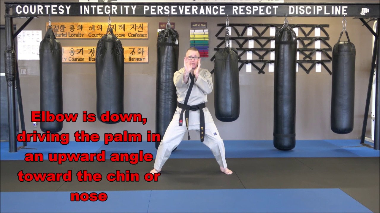 12 Palms- Foundation Hapkido
