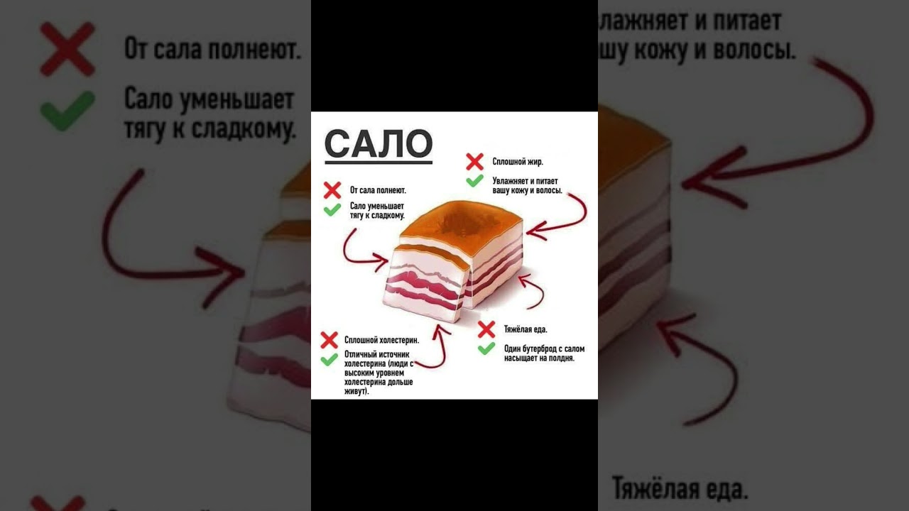 3 октября 2025 г.