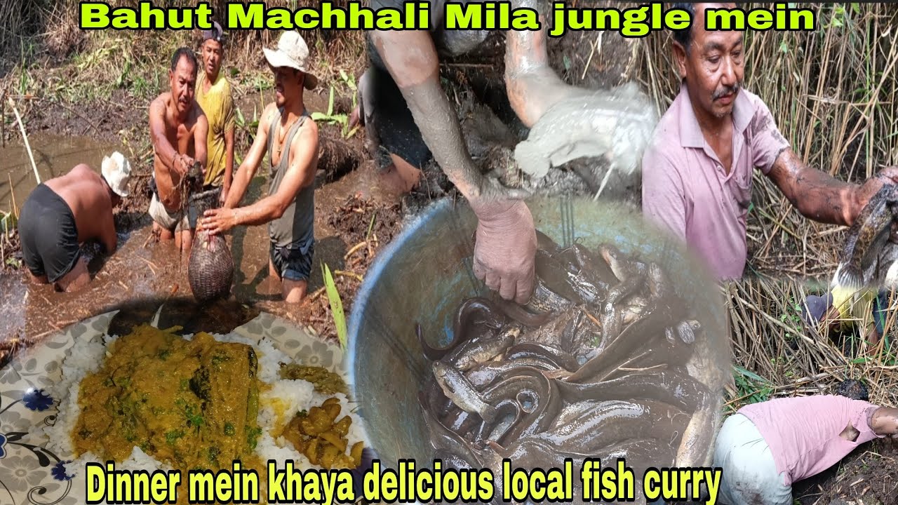 Bahut Machhali Mila jungle mein//Dinner mein khaya Delicious local Magur Fish curry 😋