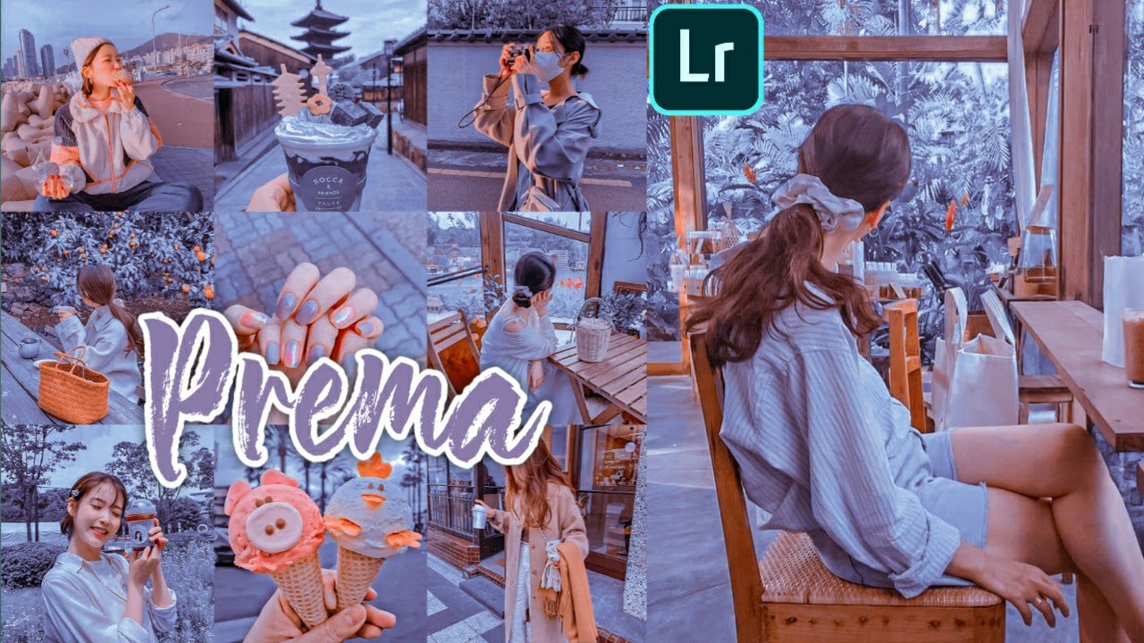 Prema Preset - Lightroom mobile presets free dng download