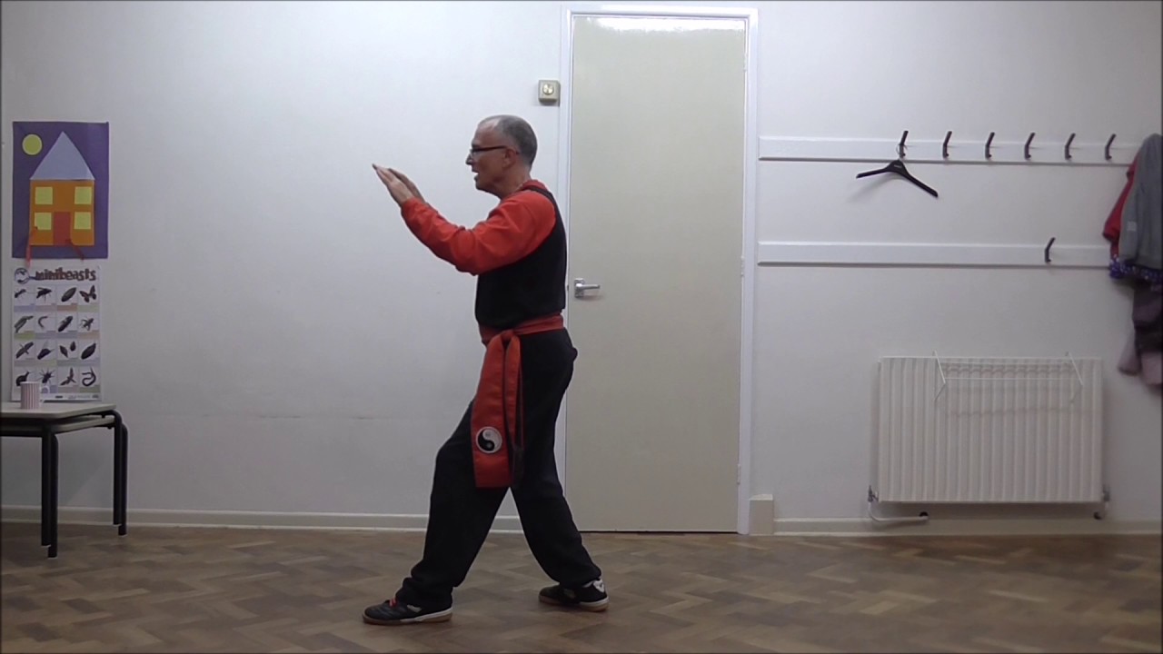 Practice Video 1: Lee (Li) Style T'ai Chi Ch'uan  (Sections 1 - 5)