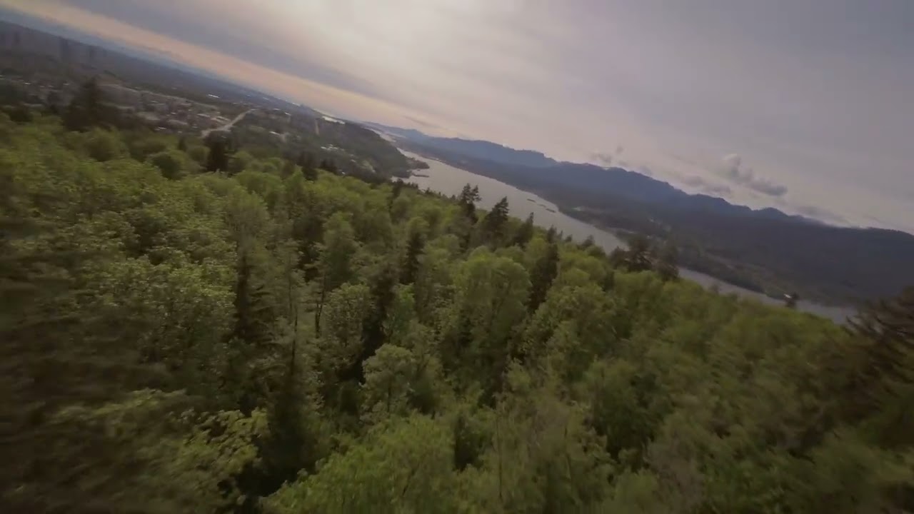 Exploring Burnaby Mountain | FPV
