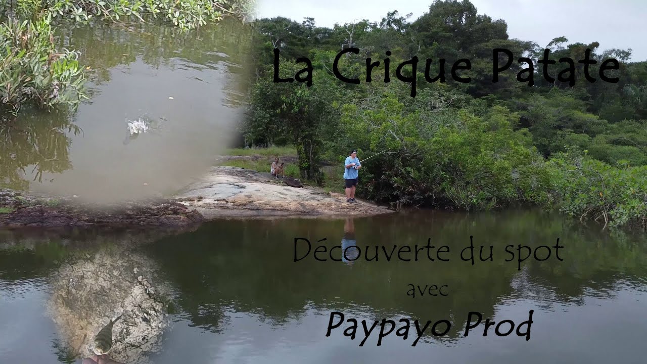 P&ecirc;che en Guyane | D&eacute;couverte de la Crique Patate [4 Avril 2024]