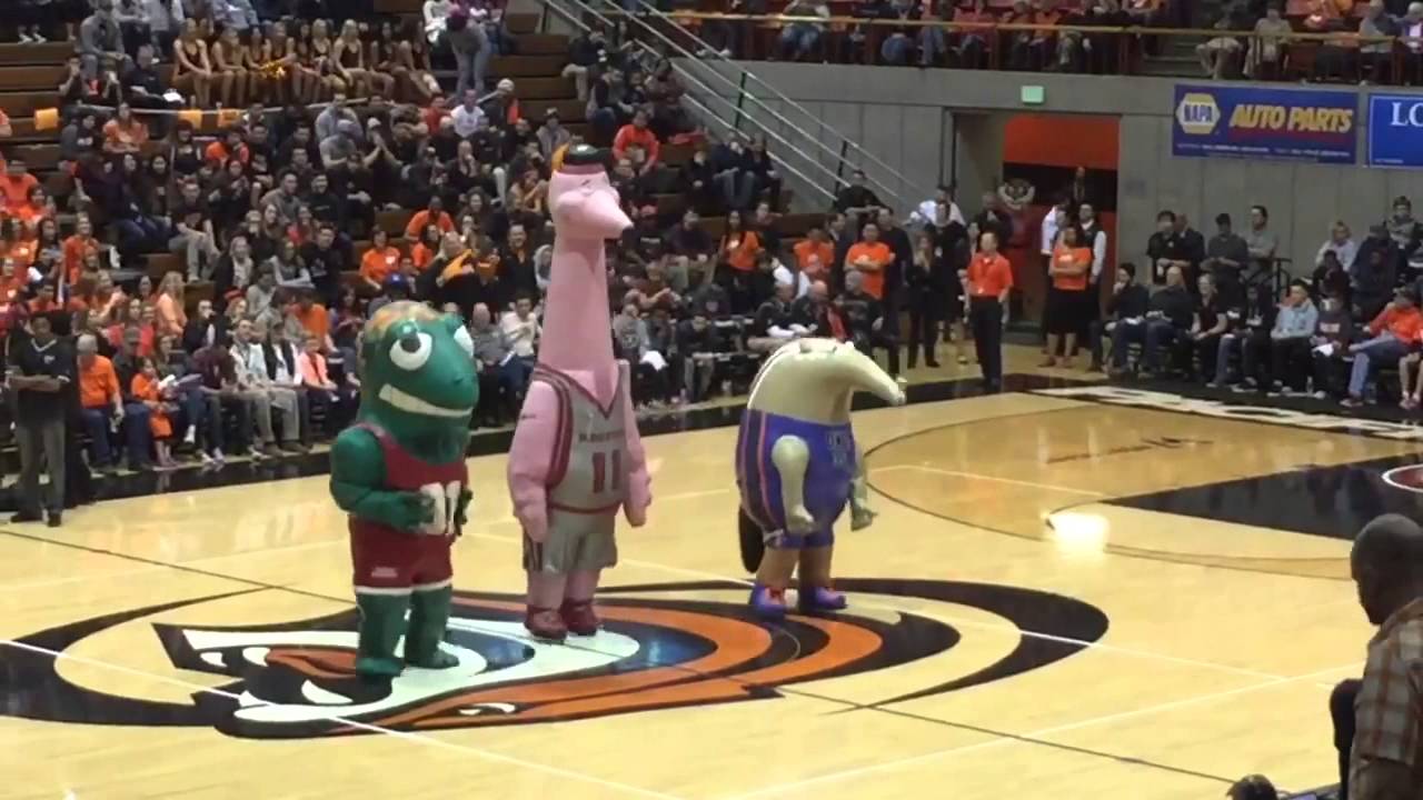 ZOOperstars Halftime at Pacific/Gonzaga Basketball Game