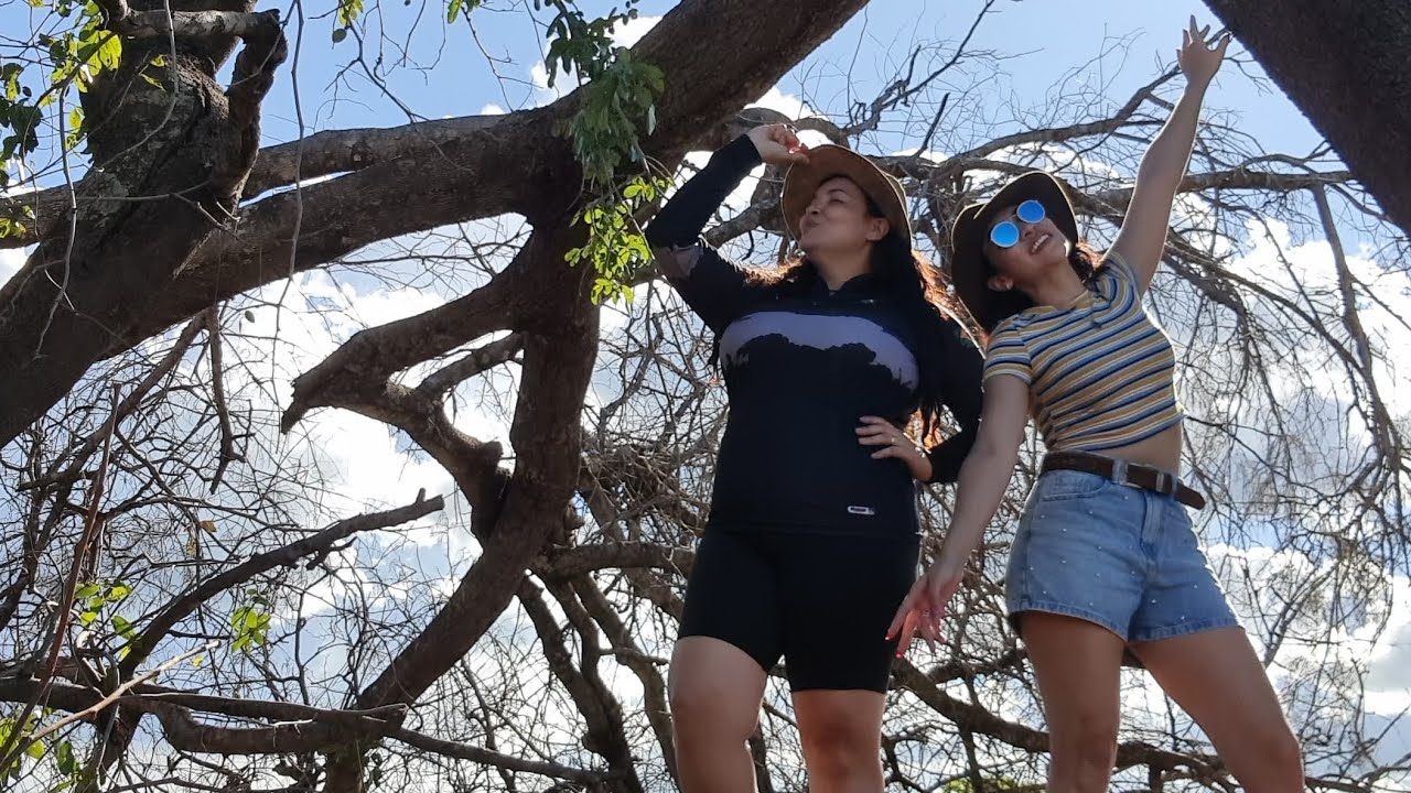 Venda de gado no Rancho! 