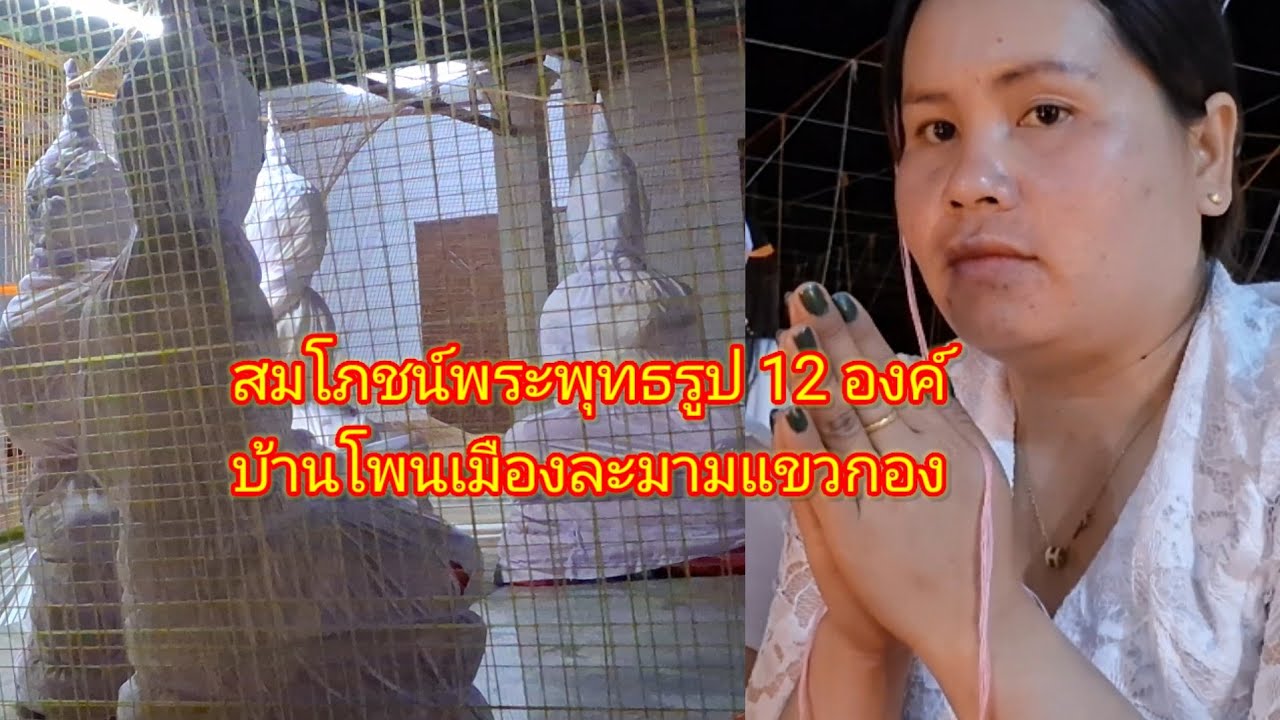 สมโภชน์พระพุทธรูป 12 องค์ 19 มกราคม ค.ศ. 2026#ฝากกดติดตามด้วย 