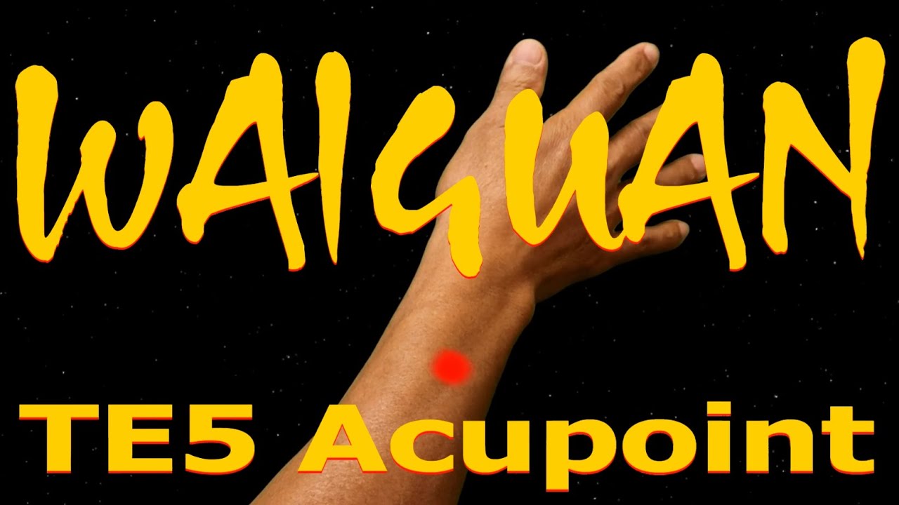 TE5 | Waiguan Acupoint | Triple Energizer Meridian | Acupressure VIKUDO
