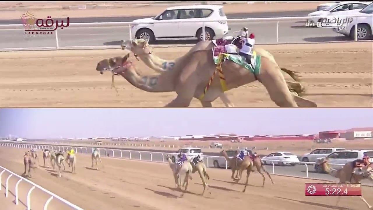 ش8 سياف لـ صالح عوض محمد ال رزق (مهرجان ولي العهد بالسعودية 3-8-2022) لقايا قعدان 6:33:86
