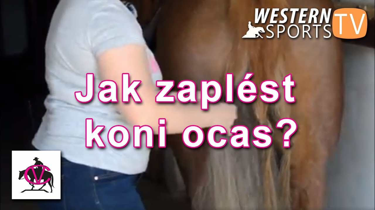 Veronika Cejpová: Jak a proč zaplést koni ocas?