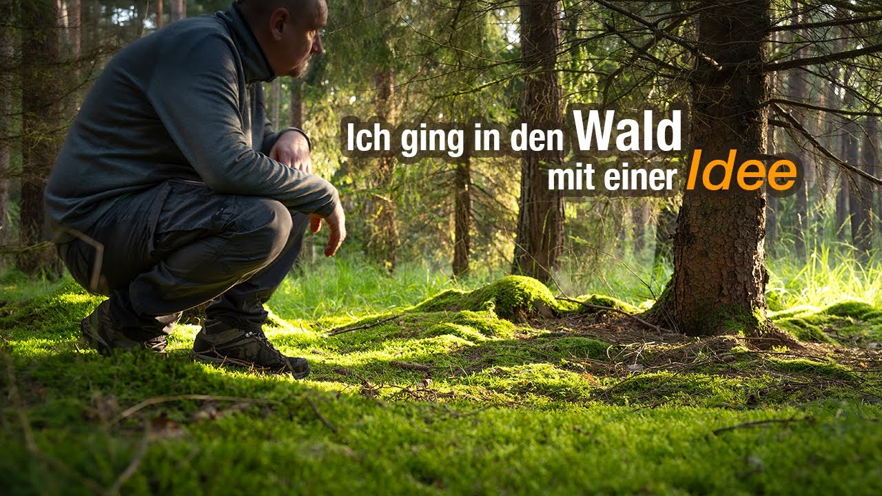 Waldfotografie mal anders: Fotografierst du noch oder machst du schon Kunst?