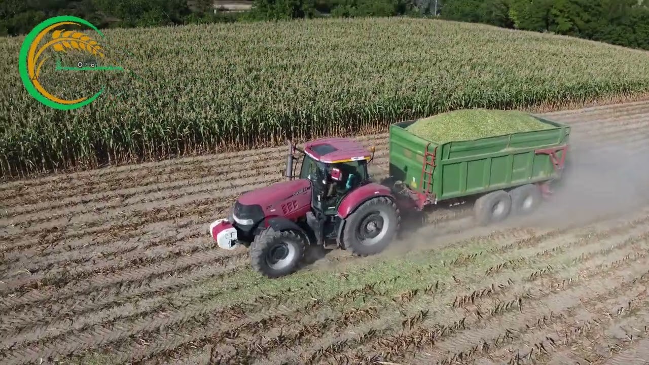 Siláž / Silage 2022 || Claas Jaguar 870 || 2x NewHolland | 2x JohnDeere | Case Puma