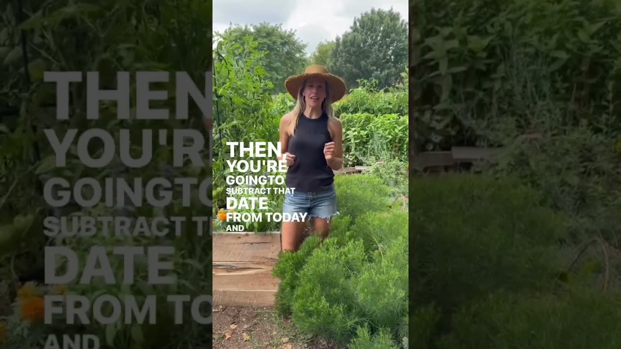 It&rsquo;s Day 1 of the Fall Garden Challenge! #gardenary #fallgarden