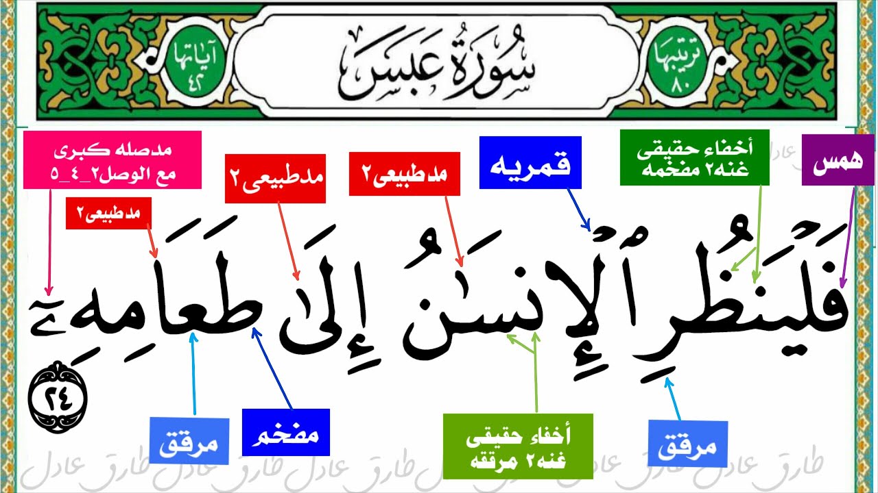 سورة عبس قراءه تجويديه للمبتدئين بكل سهوله من(فلينظر الإنسان إلى طعامه) إلى (متاعا لكم ولأنعامكم)