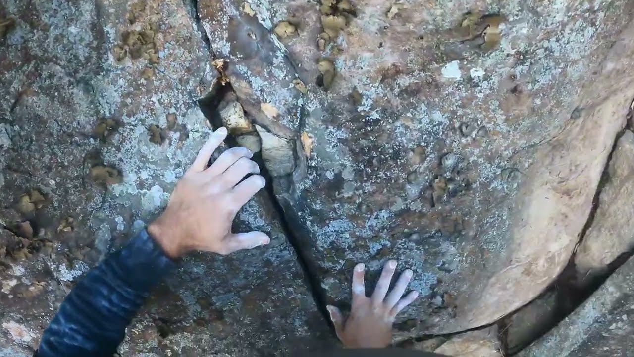 Snake Bite 5.7 : Beta Video