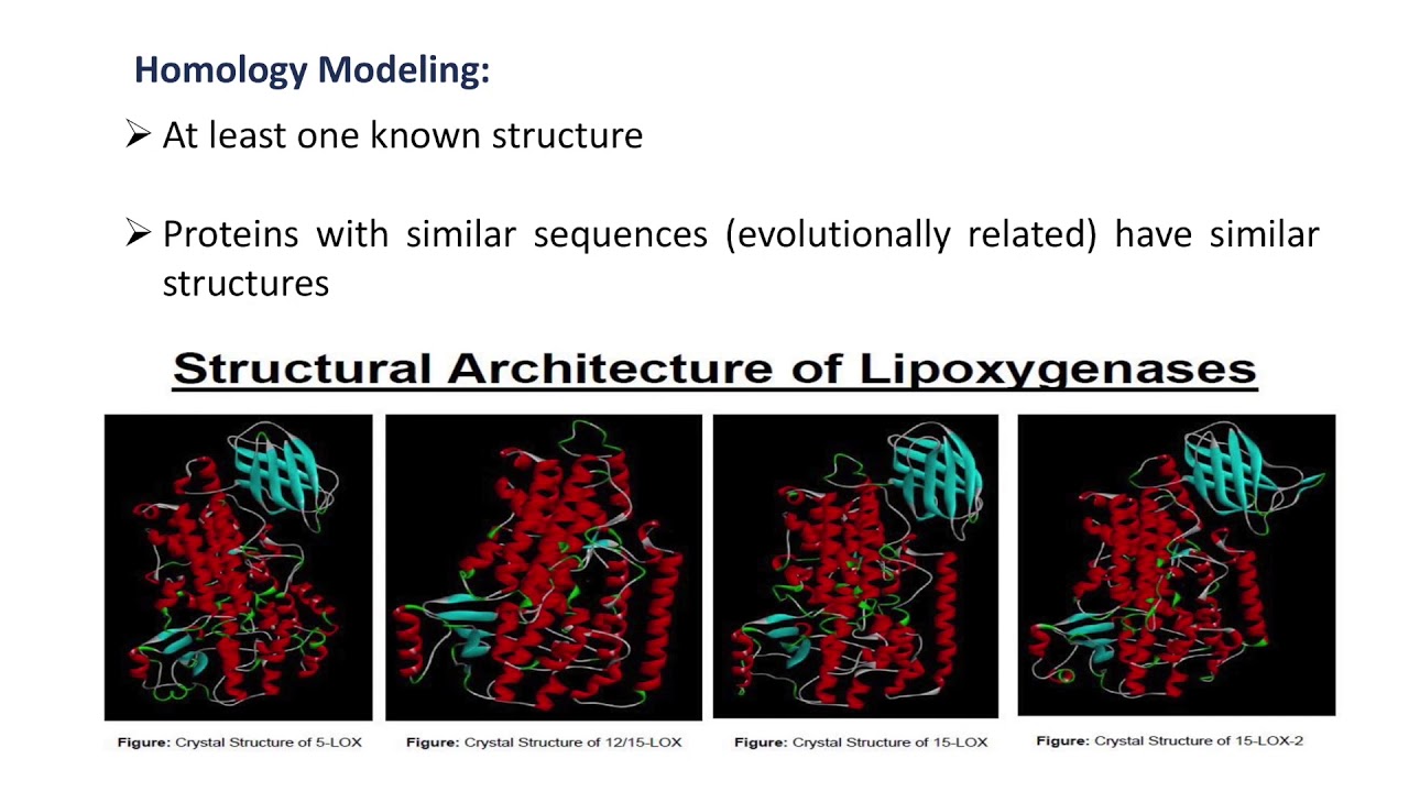 Computer-aided Drug Discovery and Structure-based Drug Design