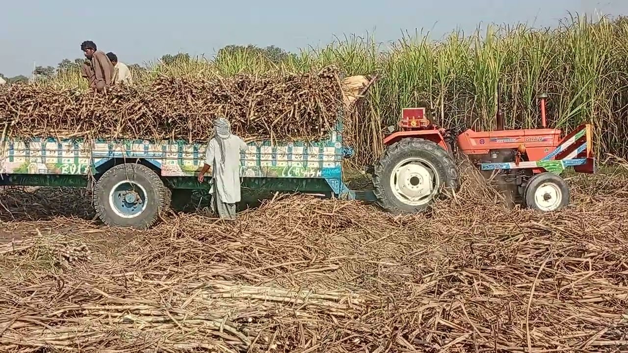 240 flat alghzai old model tractor very powerful varil keichd on trile 🤯 🤯🤯🤯🤯