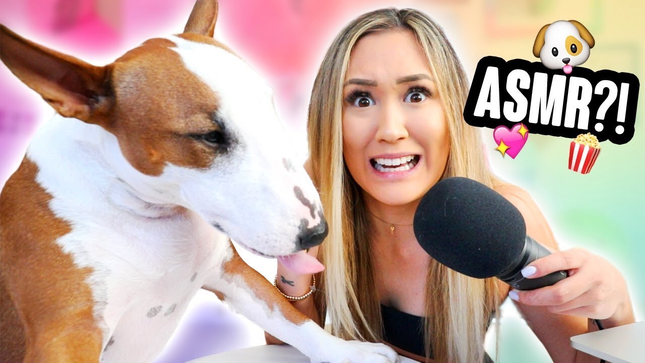 MY DOG TRIES ASMR