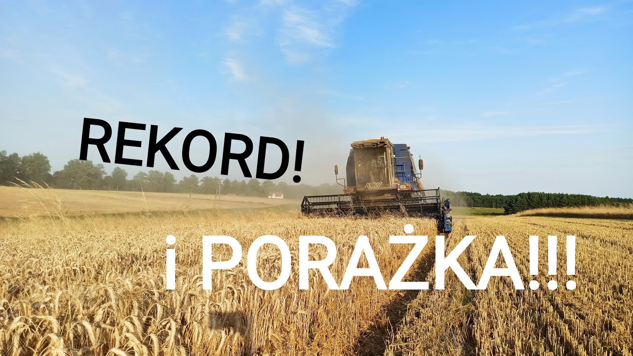 Probus rekordzista i żyto na piachudrach! Zakończenie żniw 2020!