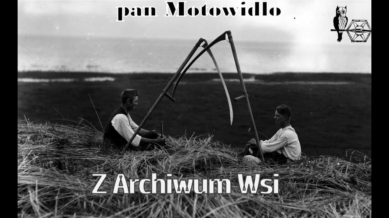 Sianokosy PGR Parzęczewo. 1950 r.