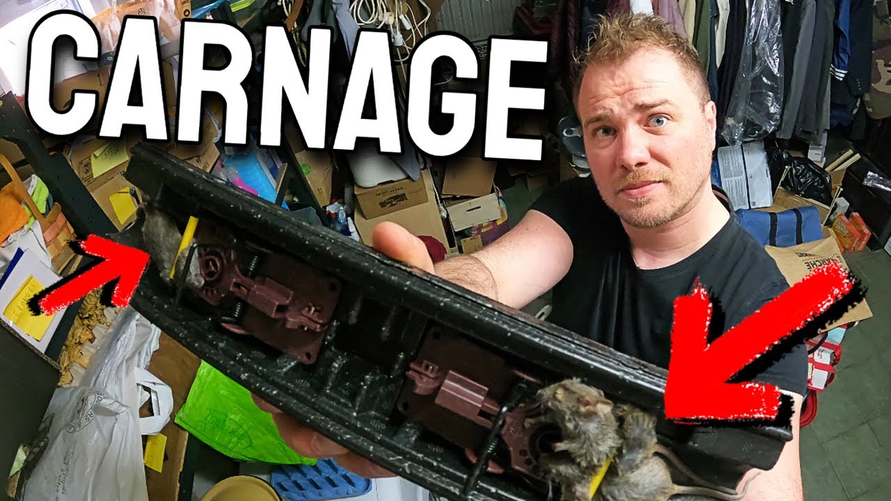 Comment éliminer les SOURIS dans la MAISON ? (épisode 2)