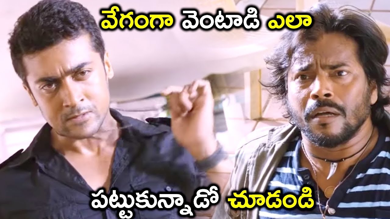 వేగంగా వెంటాడి ఎలా పట్టుకున్నాడో చూడండి  || Bhavani  Movies
