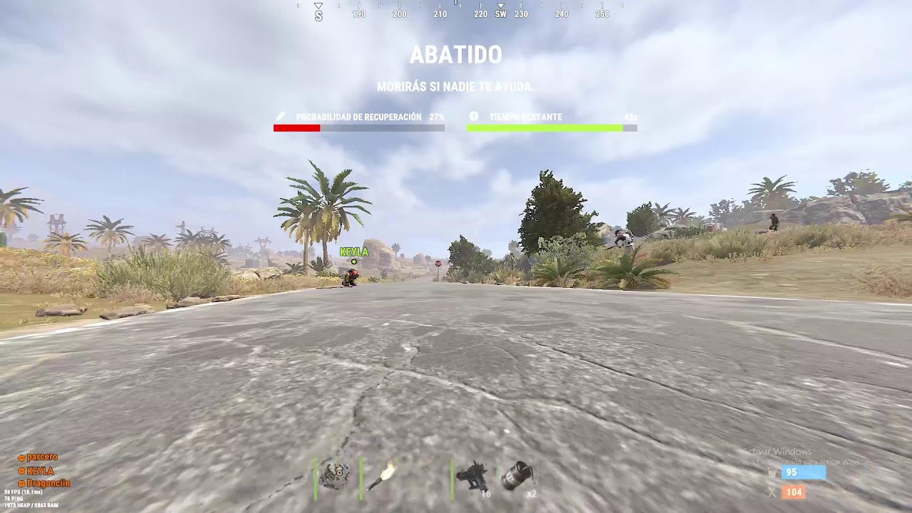 Rust wipe server