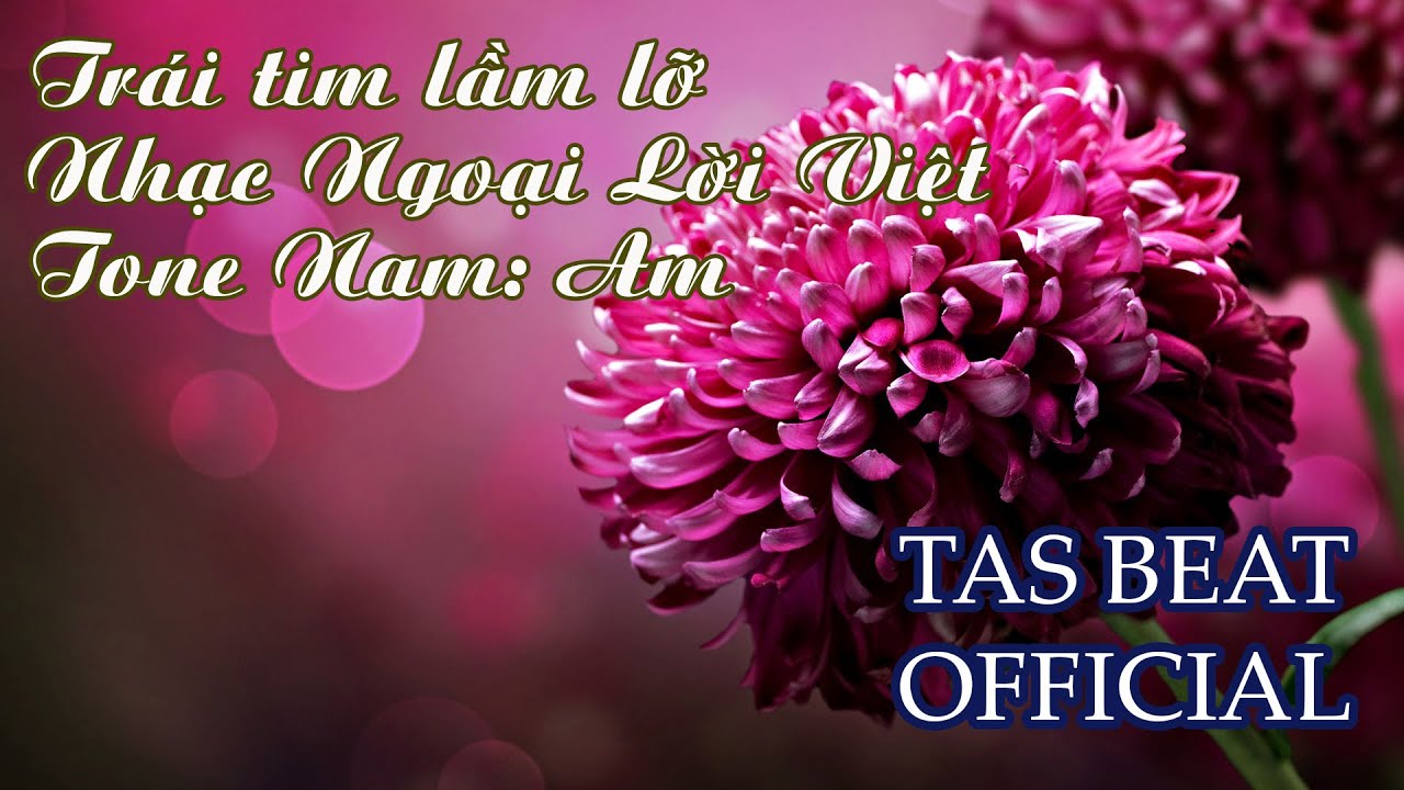 Karaoke Trái Tim Lầm Lỡ - Tone Nam | TAS BEAT