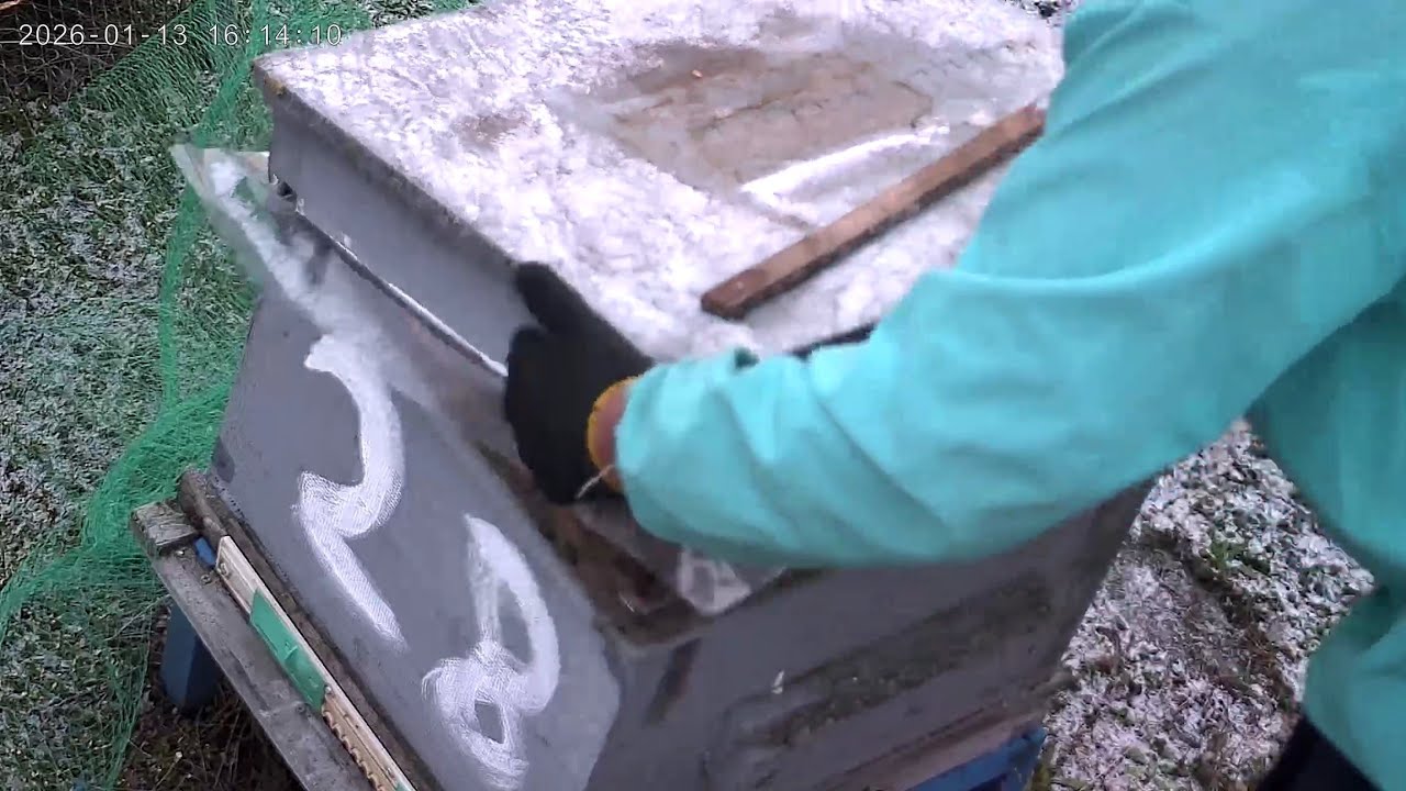Відкрив сім'ю, яка літала 6-го січня і був в шоці! 