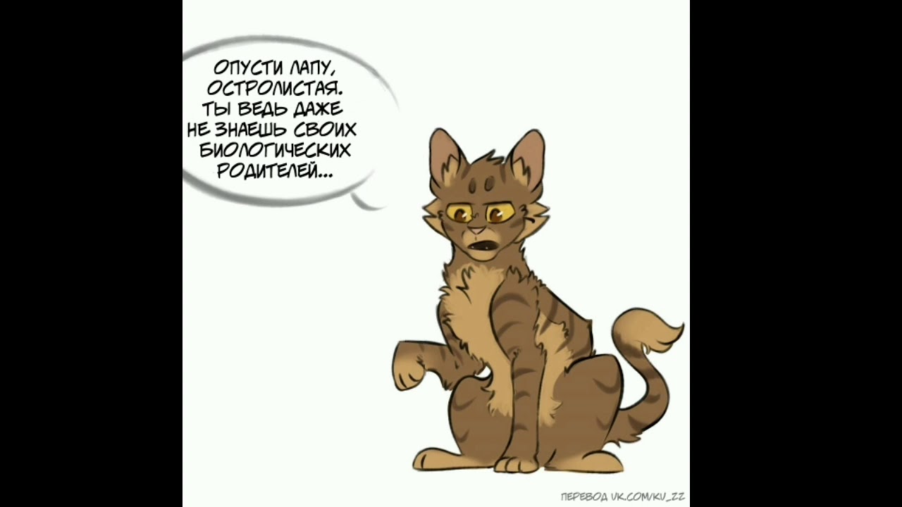 Коты воители озвучка комиксов приколы