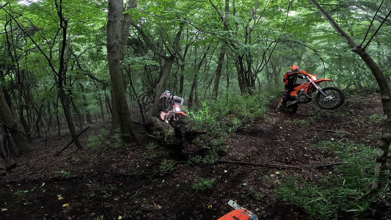 Japan Off-road Mountain Ride- Wild boar!