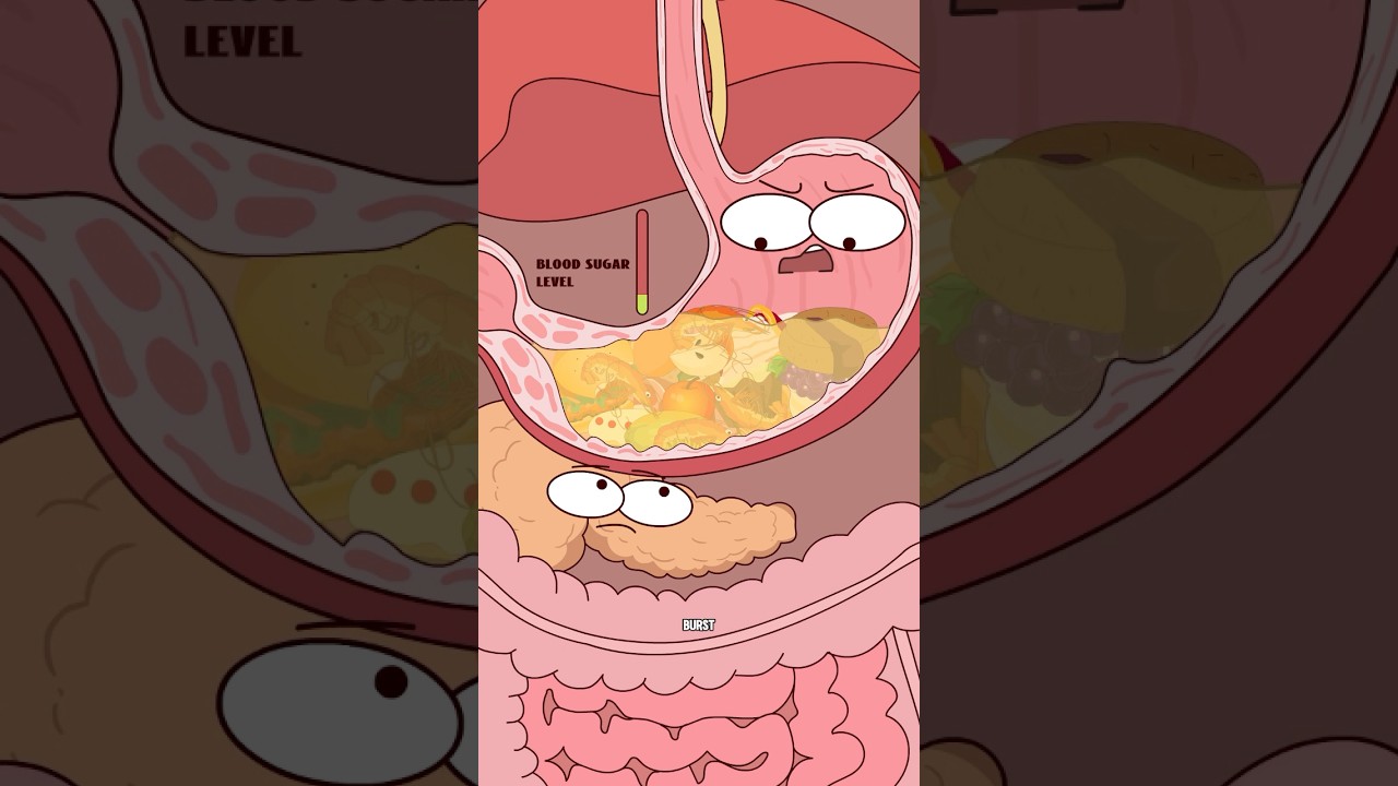 Why You Still Crave Food When You're Full?#animation #funny #shorts